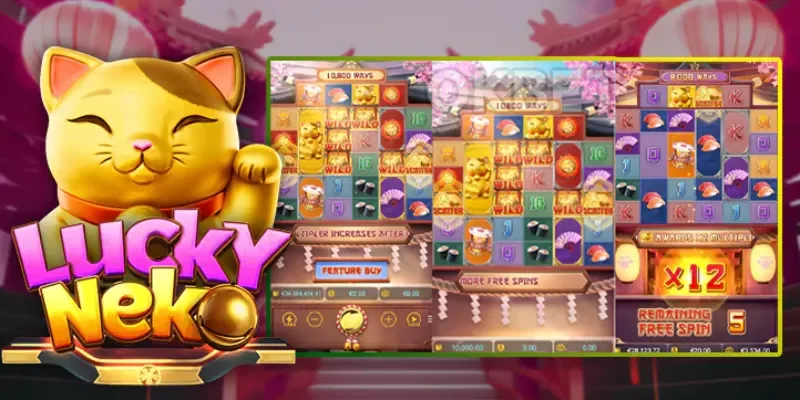 Những điều nên tránh khi tham gia Neko